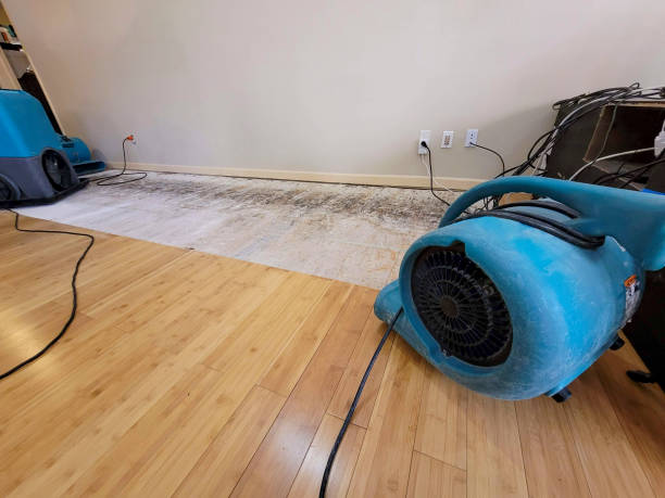Professional Water Removal technician working in White Hall, WV